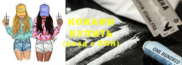 стаф Богданович