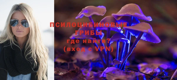 метамфетамин Богородицк
