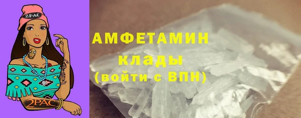 стаф Богданович