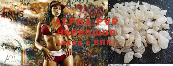 стаф Богданович