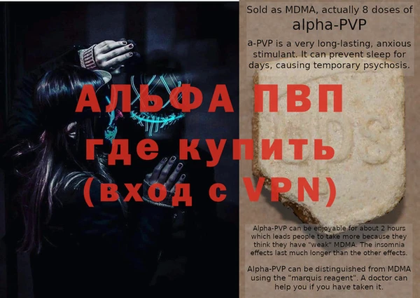 стаф Богданович
