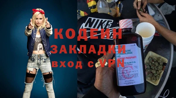 apvp Бородино