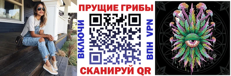 Псилоцибиновые грибы Psilocybe  Купить  Кунгур 